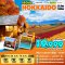HOKKAIDO-SEOUL 5 วัน 3 คืน ฮอกไกโด โซล
