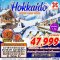 HOKKAIDO WINTER SNOW WHITE FREEDAY 6 วัน 4 คืน