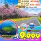 Jeju Gold Package MAR เที่ยวครบทุกวัน 4 วัน 2 คืน