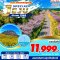 Jeju Special Package Mar เที่ยวครบทุกวัน 5 วัน 3 คืน