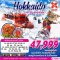 HOKKAIDO WINTER เรือตัดน้ำแข็ง (FREEDAY) 6 วัน 4 คืน