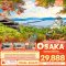 โอซาก้า KANSAI CLASSIC KYOTO INE UJI 5 วัน 3 คืน