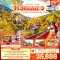 Autumn Vibes ฮอกไกโด SAPPORO JOZANKEI NOBORIBETSU OTARU 5 วัน 3 คืน