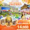 Chic & Classic KOREA SEOUL NAMI EVERLAND 5 วัน 3 คืน