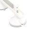 SUCTION CUP