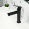 BASIN FAUCET STAINLESS STEEL 304 (BLACK)