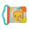 Bright Starts Teether Book