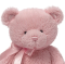 Gund Baby My 1st Teddy Pink 10 Inch ตุ๊กตาหมี  SM6048599 - 2401