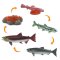 โมเดลวิวัฒนการปลาเซลมอนLife cycle of a salmon รุ่น SFR 100267
