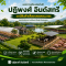 ปฏิพงศ์ อินดัสทรี เกษตรครบวงจร