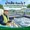 น้ำเสีย คืออะไร ? เจาะลึกผลกระทบพร้อมวิธีจัดการที่ถูกต้อง