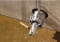 VM-W Sludge Recirculation Pump