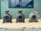 หัวปั้มน้ำหอยโข่ง EBARA JAPAN ใบพัดทองเหลือง ขนาด 8~6” เข้ามา 3 ตัว (ใช้กับ 60~75 HP)