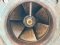 หัวปั้มน้ำหอยโข่ง EBARA JAPAN ใบพัดทองเหลือง ขนาด 8~6” เข้ามา 3 ตัว (ใช้กับ 60~75 HP)