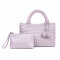 Minicube Woven Handbag Model B2405
