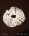 Evie.apparel NORA SCRUNCHIE