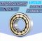 NJ204 ตลับลูกปืนเม็ดทรงกระบอก ( CYLINDRICAL ROLLER BEARINGS ) 20x47x14 mm