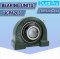 UCPA203 ตลับลูกปืนตุ๊กตา ( BEARING UNITS ) สำหรับเพลาขนาด 17 mm