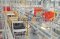 Automobile Production Line