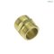 BRASS THREAD NIPPLE