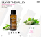 LILY OF THE VALLEY ลิลลี่ ออฟเดอรวัลเล่ย์