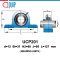 UCP201 UBC Bearing Units สำหรับเพลา 12 mm.