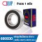 6005DD NSK Deep Groove Ball Bearings Seal Type