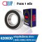 6209DD NSK Deep Groove Ball Bearings Seal Type