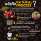 อะไรคือ Natural Process /Dry Process ?