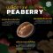 เมล็ดกาแฟ Peaberry คืออะไร?
