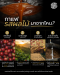 กาแฟรสผลไม้มาจากไหน ?