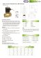 Arita Brass 2/2 Way Solenoid Valve BSPT (Steam)