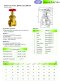Arita Brass Gate Valve, BGA-AKZ, BSPT, Class 200 PSI