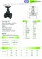 Arita Forged Steel Gate Valve Class 150PSI & 300PSI