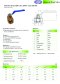Arita Full Bore Brass Ball Valve, AF200, BSPT, Class 200 psi