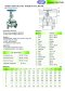 Arita Stainless Steel Gate Valve (OS&Y), JIS 10K