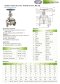 Arita Stainless Steel Gate Valve (OS&Y), PN16