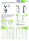 Arita Stainless Steel Wafer Type Butterfly Valve, Gear Operator, Universal