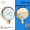 "IK" Pressure Gauge  0-10 MPA & 0-100 KG/CM2