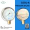 "IK" Pressure Gauge 0-2 MPA & 0-20 KG/CM2
