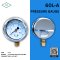 IK PRESSURE GAUGE 0-10 MPA & 0-100 KG/CM2