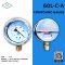 IK VACUUM GAUGE  -1-0 KG/CM2 & -0.1-0 MPA