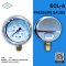 IK PRESSURE GAUGE 0-1.5 MPA & 0-15 KG/CM2