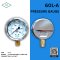 IK PRESSURE GAUGE 0-250 KG/CM2 & 0-3500 PSI