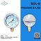 IK PRESSURE GAUGE 0-20 KG/CM2 & 0-300 PSI