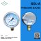 IK PRESSURE GAUGE 0-2.5 MPA & 0-25 KG/CM2
