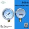 IK PRESSURE GAUGE 0-2 MPA & 0-20 KG/CM2