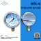 IK PRESSURE GAUGE 0-35 MPA & 0-350 KG/CM2