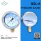 IK PRESSURE GAUGE 0-3.5 MPA & 0-35 KG/CM2