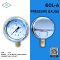 IK PRESSURE GAUGE 0-40 MPA & 0-400 KG/CM2